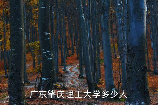 廣東肇慶理工大學多少人