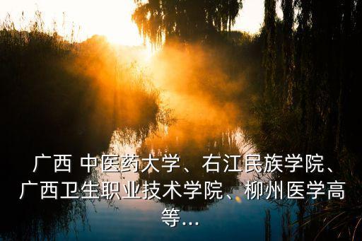  廣西 中醫(yī)藥大學(xué)、右江民族學(xué)院、 廣西衛(wèi)生職業(yè)技術(shù)學(xué)院、柳州醫(yī)學(xué)高等...