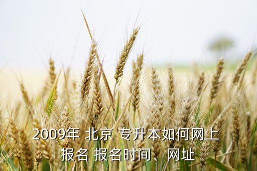 2009年 北京 專(zhuān)升本如何網(wǎng)上 報(bào)名 報(bào)名時(shí)間、網(wǎng)址