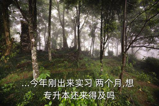 ...今年剛出來(lái)實(shí)習(xí) 兩個(gè)月,想 專(zhuān)升本還來(lái)得及嗎