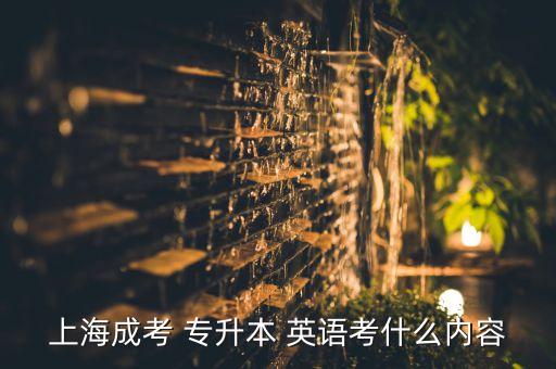 上海成考 專升本 英語(yǔ)考什么內(nèi)容