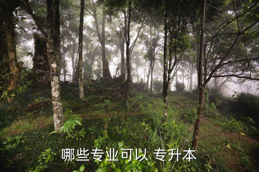 哪些專業(yè)可以 專升本