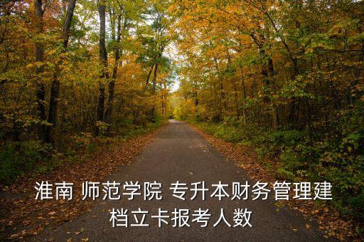  淮南 師范學(xué)院 專(zhuān)升本財(cái)務(wù)管理建檔立卡報(bào)考人數(shù)