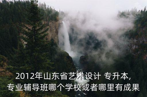 2012年山東省藝術(shù)設(shè)計 專升本,專業(yè)輔導(dǎo)班哪個學(xué)?；蛘吣睦镉谐晒? class=