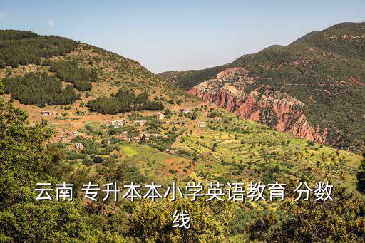  云南 專升本本小學(xué)英語(yǔ)教育 分?jǐn)?shù)線