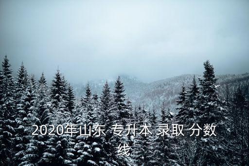 專升本臨沂大學(xué)錄取分?jǐn)?shù),成都信息工程大學(xué)專升本錄取分?jǐn)?shù)