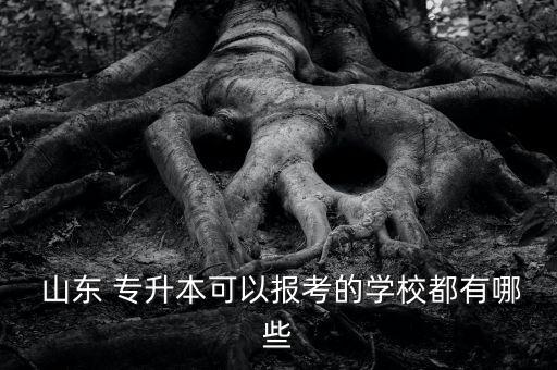  山東 專升本可以報考的學(xué)校都有哪些