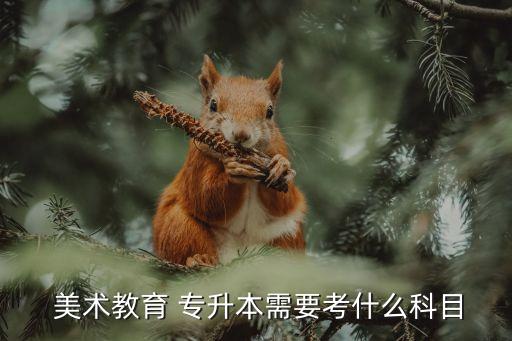 深職院專(zhuān)升本考試美術(shù)專(zhuān)業(yè),河南美術(shù)專(zhuān)業(yè)專(zhuān)升本考試時(shí)間