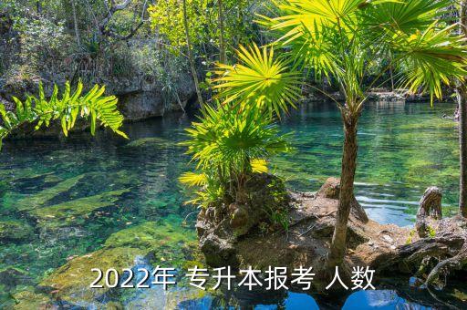 2022年 專升本報(bào)考 人數(shù)