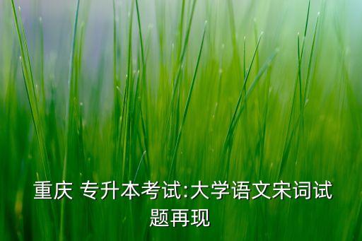  重慶 專(zhuān)升本考試:大學(xué)語(yǔ)文宋詞試題再現(xiàn)