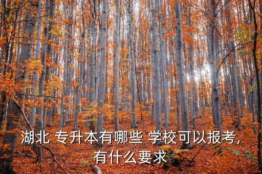湖北 專升本有哪些 學(xué)?？梢詧?bào)考,有什么要求