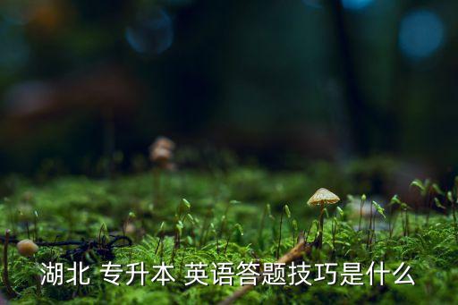 專(zhuān)升本英語(yǔ)考試題答案解析,2020專(zhuān)升本英語(yǔ)考試題及答案