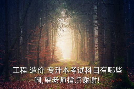  工程 造價 專升本考試科目有哪些啊,望老師指點謝謝!