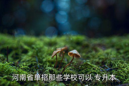 河南省單招那些學校可以 專升本