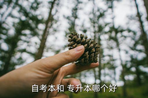 自考本和 專升本哪個好