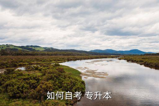 2016上海專升本考試試卷,陜西省2016專升本考試語(yǔ)文真題
