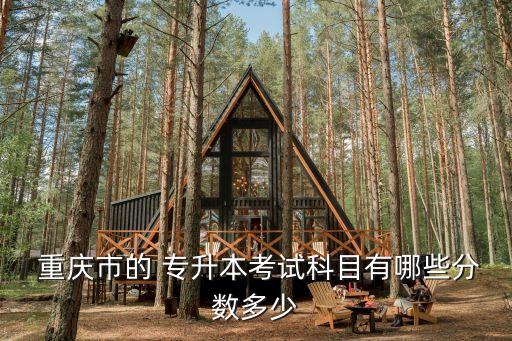 重慶專升本老師招聘,重慶好老師專升本培訓(xùn)機(jī)構(gòu)地址