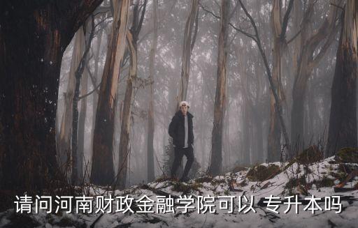 請問河南財政金融學(xué)院可以 專升本嗎