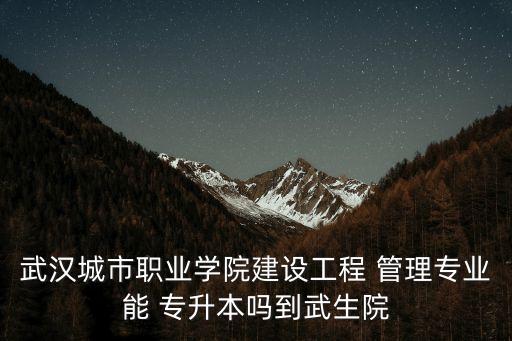 武漢城市職業(yè)學院建設工程 管理專業(yè)能 專升本嗎到武生院