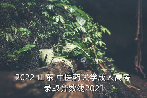 2022 山東 中醫(yī)藥大學(xué)成人高考錄取分?jǐn)?shù)線2021
