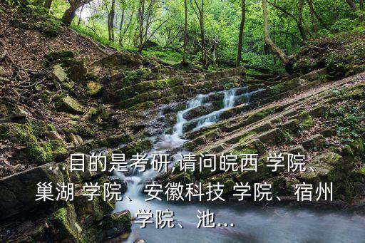 ...目的是考研,請問皖西 學(xué)院、 巢湖 學(xué)院、安徽科技 學(xué)院、宿州 學(xué)院、池...