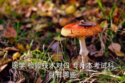  醫(yī)學 檢驗技術對口 專升本考試科目有哪些