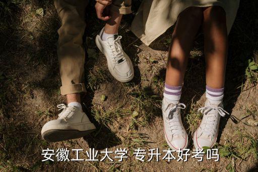  安徽工業(yè)大學(xué) 專升本好考嗎