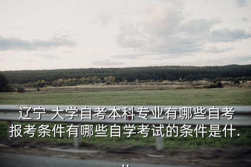  遼寧 大學自考本科專業(yè)有哪些自考報考條件有哪些自學考試的條件是什...