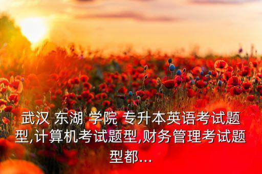 武漢 東湖 學(xué)院 專升本英語(yǔ)考試題型,計(jì)算機(jī)考試題型,財(cái)務(wù)管理考試題型都...
