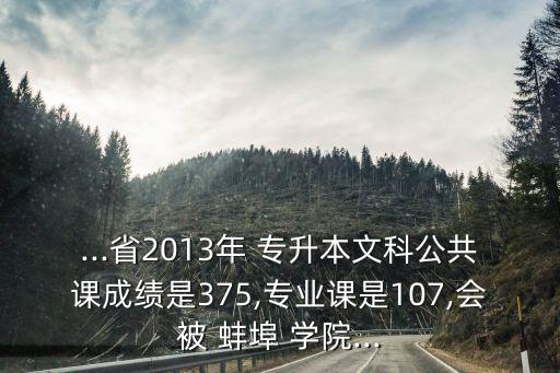 ...省2013年 專升本文科公共課成績是375,專業(yè)課是107,會(huì)被 蚌埠 學(xué)院...