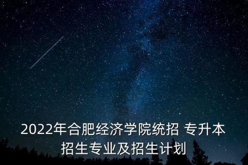 2022年合肥經濟學院統(tǒng)招 專升本招生專業(yè)及招生計劃