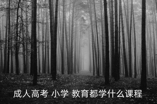 成人高考 小學(xué) 教育都學(xué)什么課程