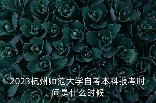 杭師大美術學院專升本