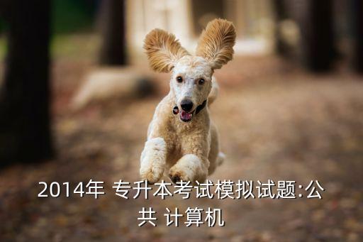 2014年 專(zhuān)升本考試模擬試題:公共 計(jì)算機(jī)