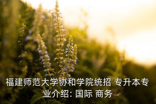 福建師范大學(xué)協(xié)和學(xué)院統(tǒng)招 專升本專業(yè)介紹: 國際 商務(wù)