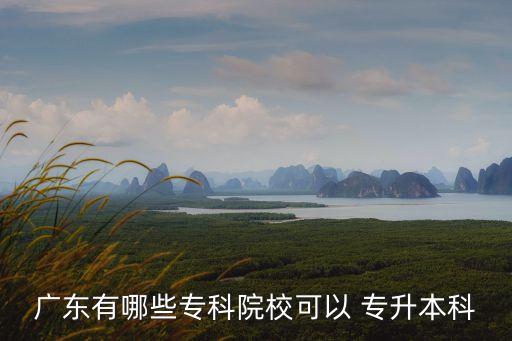 廣東有哪些?？圃盒？梢?專升本科