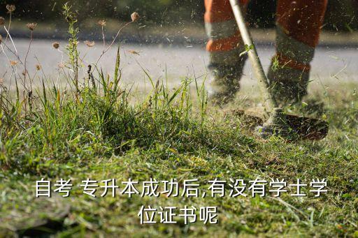  自考 專升本成功后,有沒有學(xué)士學(xué)位證書呢