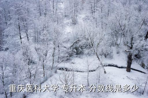 重慶醫(yī)科大學(xué) 專升本 分數(shù)線是多少