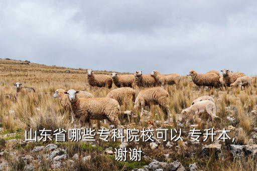  山東省哪些專科院?？梢?專升本,謝謝