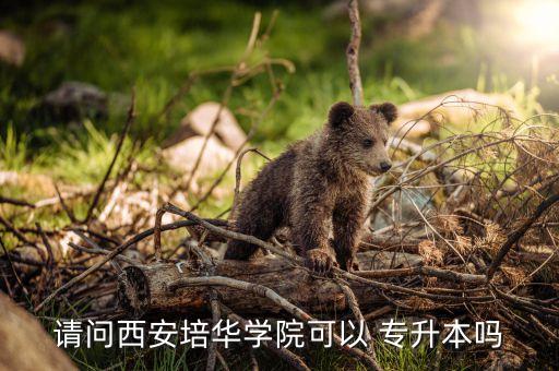 陜西專升本考試分數(shù)線