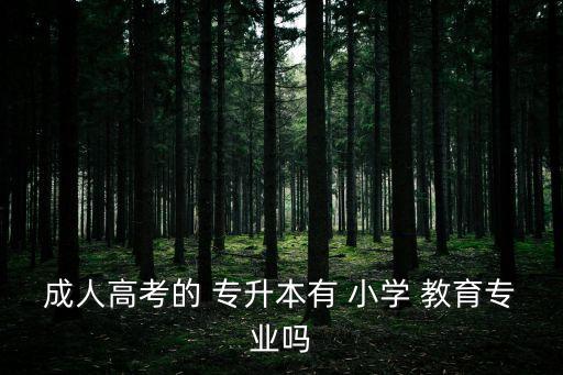 成人高考的 專升本有 小學 教育專業(yè)嗎