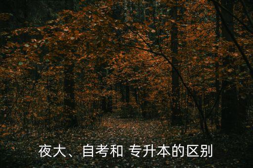 同濟大學專升本學費多少錢,上海同濟大學成人專升本