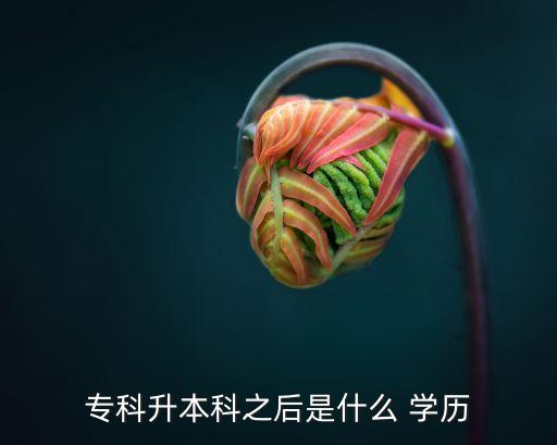 專科升本科之后是什么 學(xué)歷