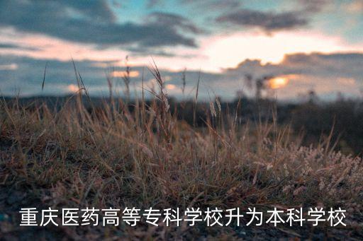  重慶醫(yī)藥高等?？茖W(xué)校升為本科學(xué)校