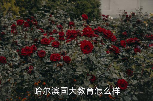  哈爾濱國(guó)大教育怎么樣