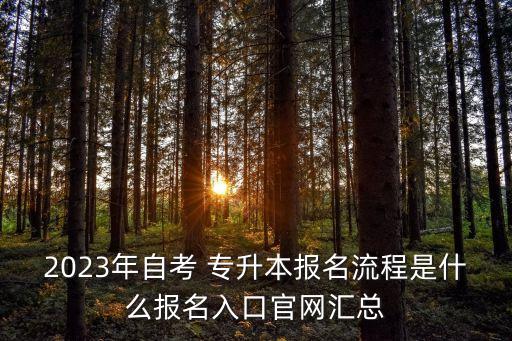 2023年自考 專升本報(bào)名流程是什么報(bào)名入口官網(wǎng)匯總