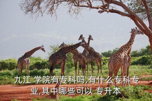  九江 學(xué)院有?？茊?有什么專科專業(yè),其中哪些可以 專升本