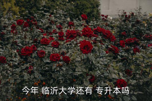 今年 臨沂大學還有 專升本嗎