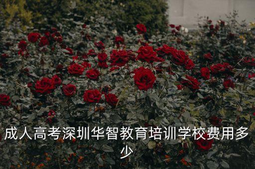 成人高考深圳華智教育培訓(xùn)學(xué)校費用多少