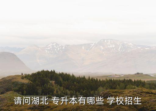 請(qǐng)問湖北 專升本有哪些 學(xué)校招生